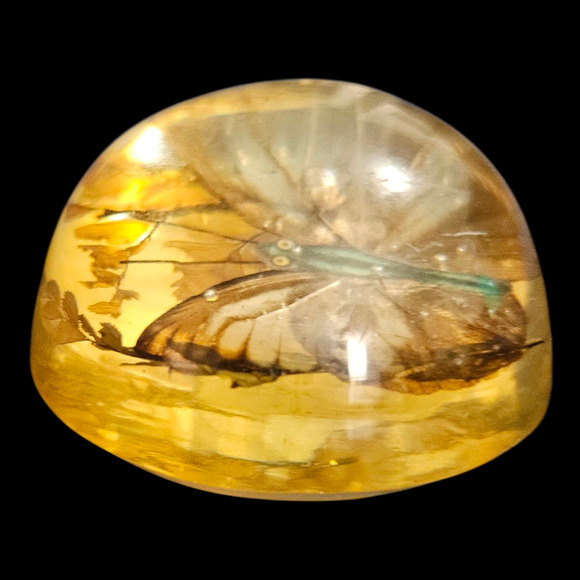 Vintage 1950s Resin Dome Paperweight Real Butterfly Insect Specimen 2.5" - Picture 3 of 6